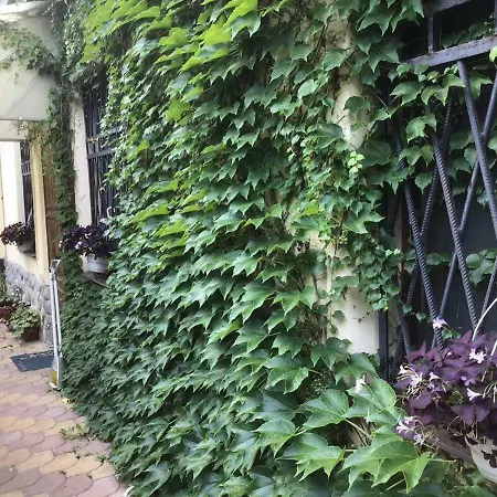 Kostandi * Odessa